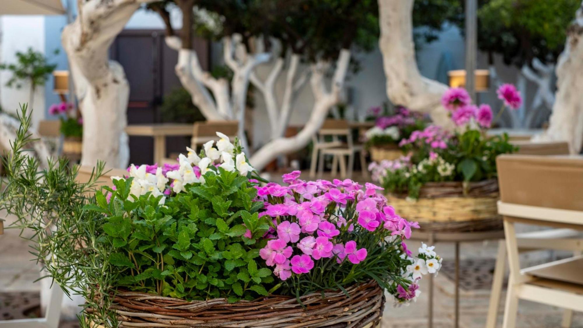 La Sommita Relais & Chateaux Ostuni Exterior photo